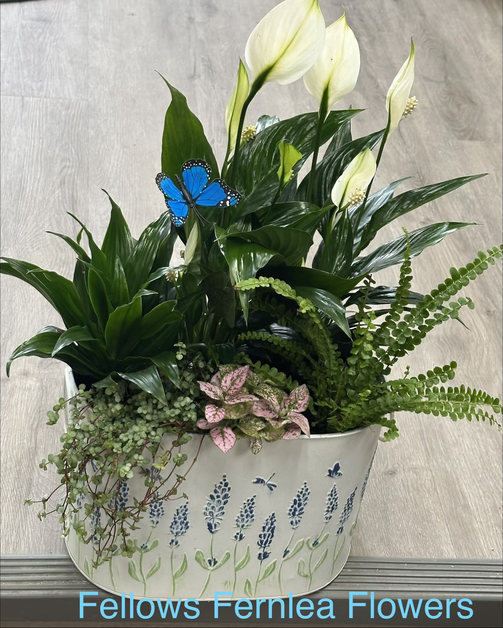 Fellows Cottage Windowsill Planter. An arrangement by Fellows Fernlea Flowers.