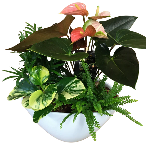 Large Eileen White Planter. An arrangement by Lori's Hearts and Flowers.