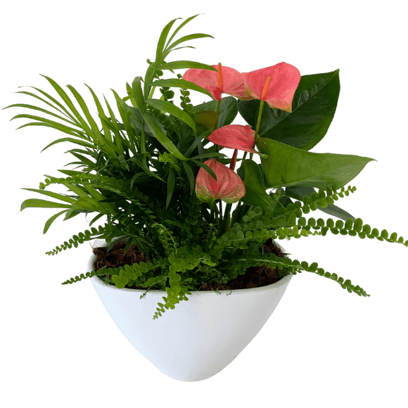 Medium Eileen White Planter Garden. An arrangement by Lori's Hearts and Flowers.