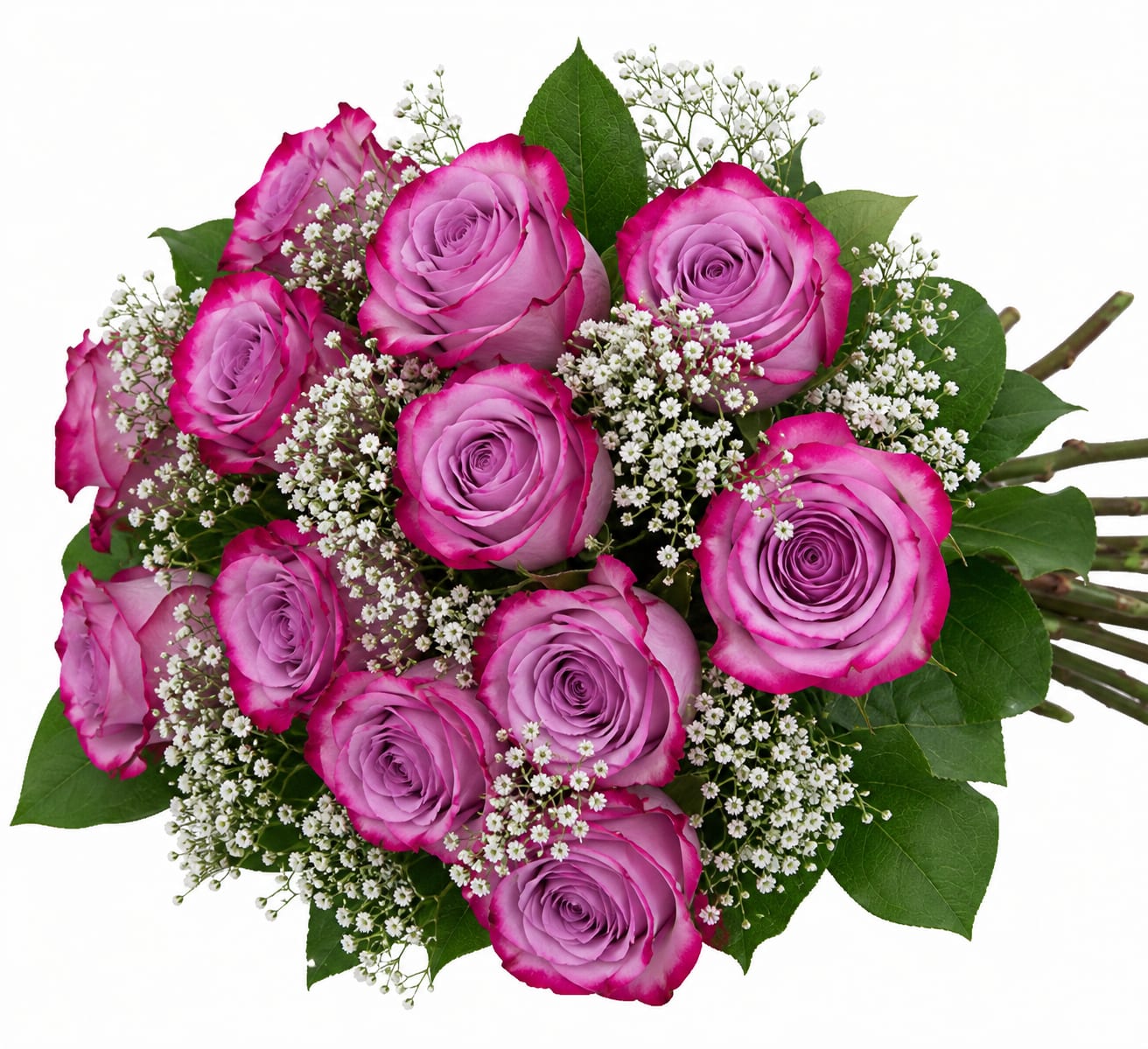 Classic Deep Purple Roses Wrapped. An arrangement by Lori's Hearts and Flowers.