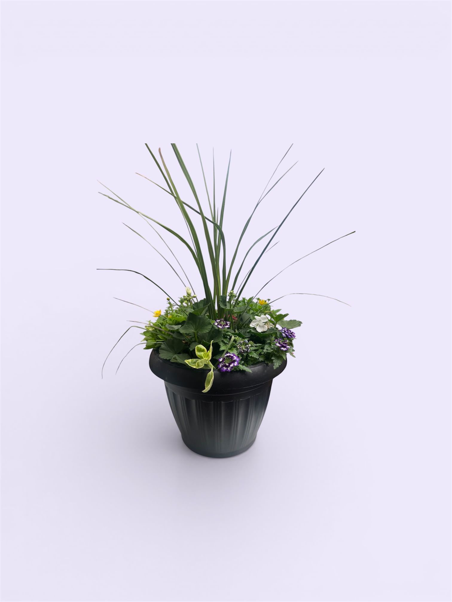 Novelty 16 Patio Garden Planter. An arrangement by Marianna's Flower Island.