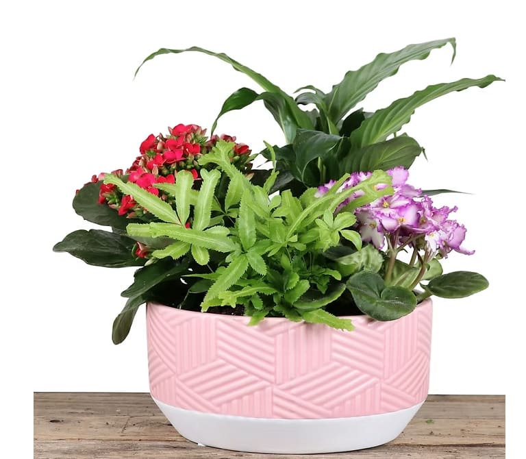 8 Scarlett planter. An arrangement by The Flower Shop in the Village.