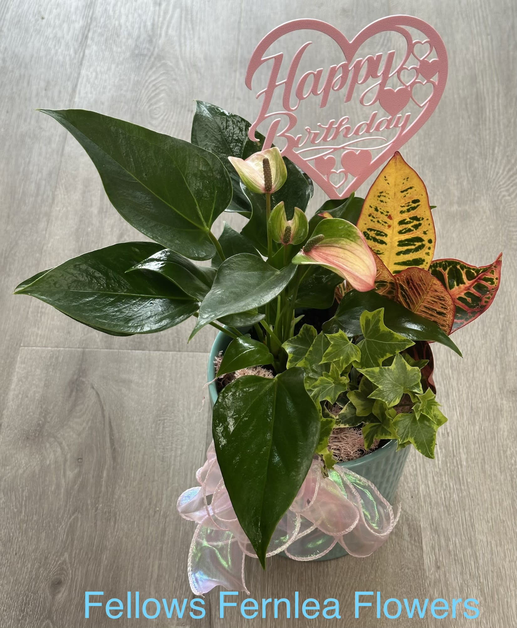 Birthday Wishes Planter, by Fellows. An arrangement by Fellows Fernlea Flowers.