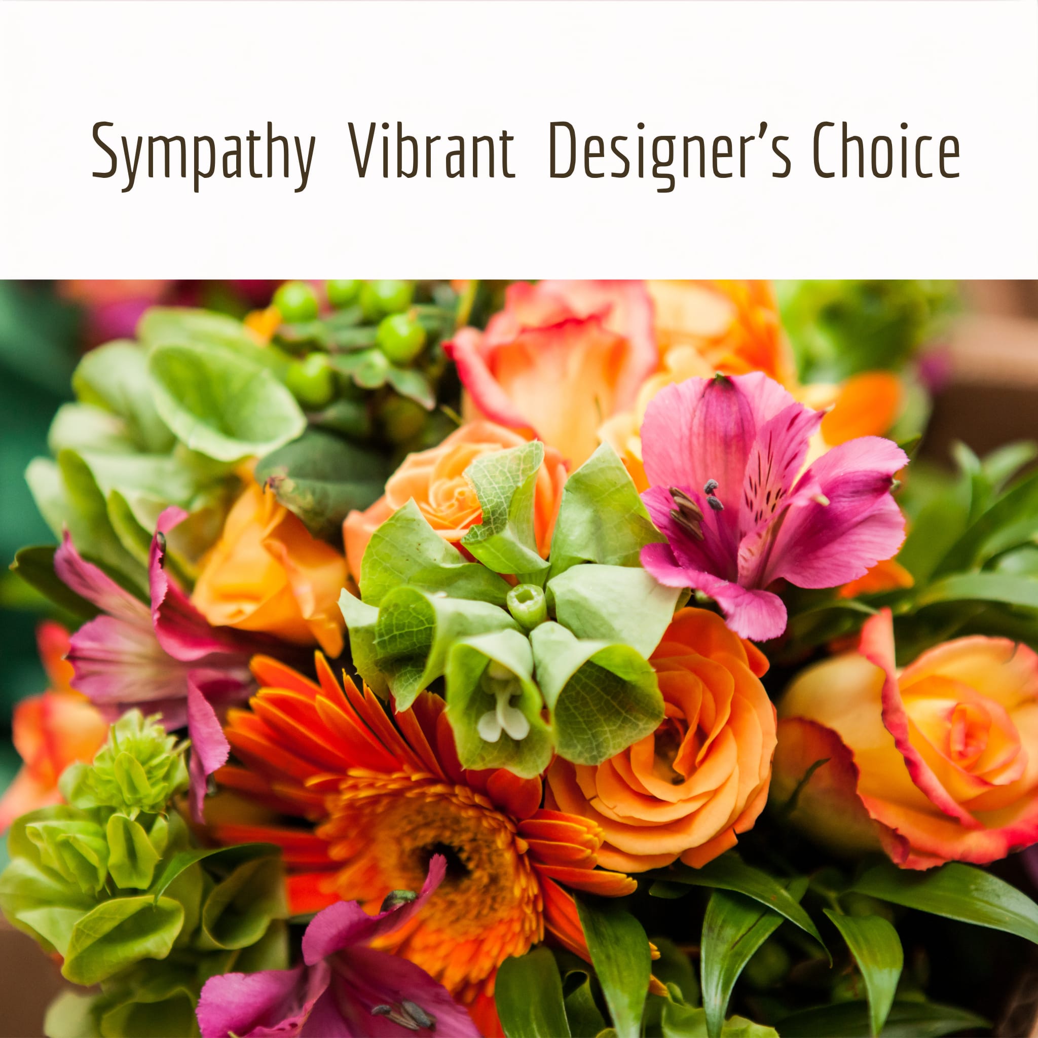 Sympathy Vibrant Designer's Choice. An arrangement by Clark County Floral.
