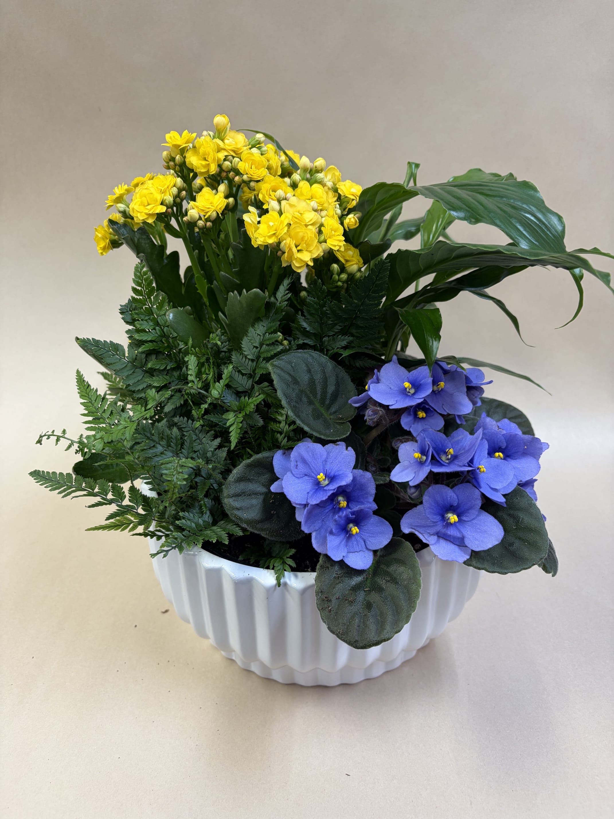 Dish Garden Of Mixed Plants. An arrangement by Deer Valley Florist and Flower Delivery.