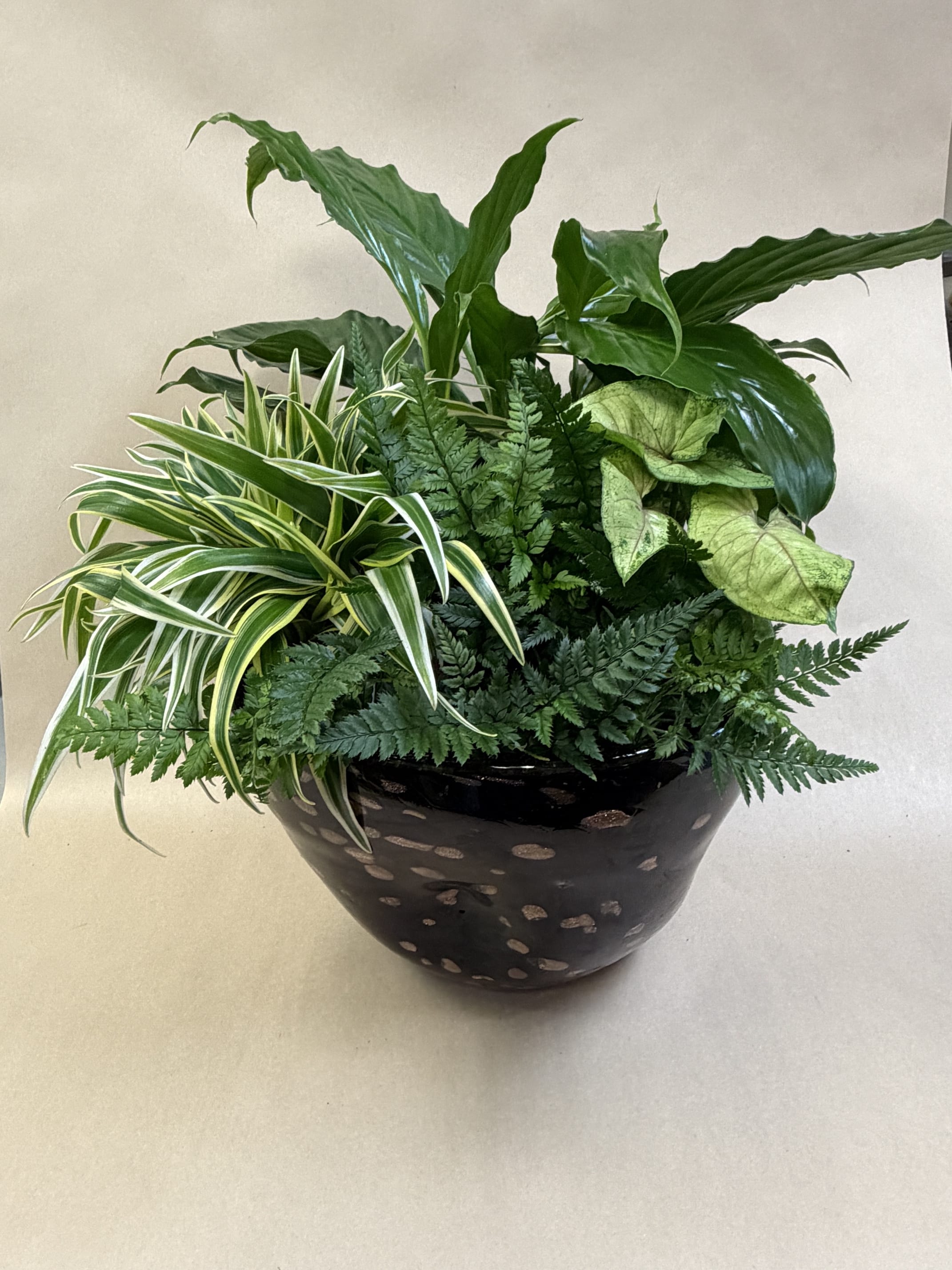 Tropical plants, Dish Garden. An arrangement by Deer Valley Florist and Flower Delivery.