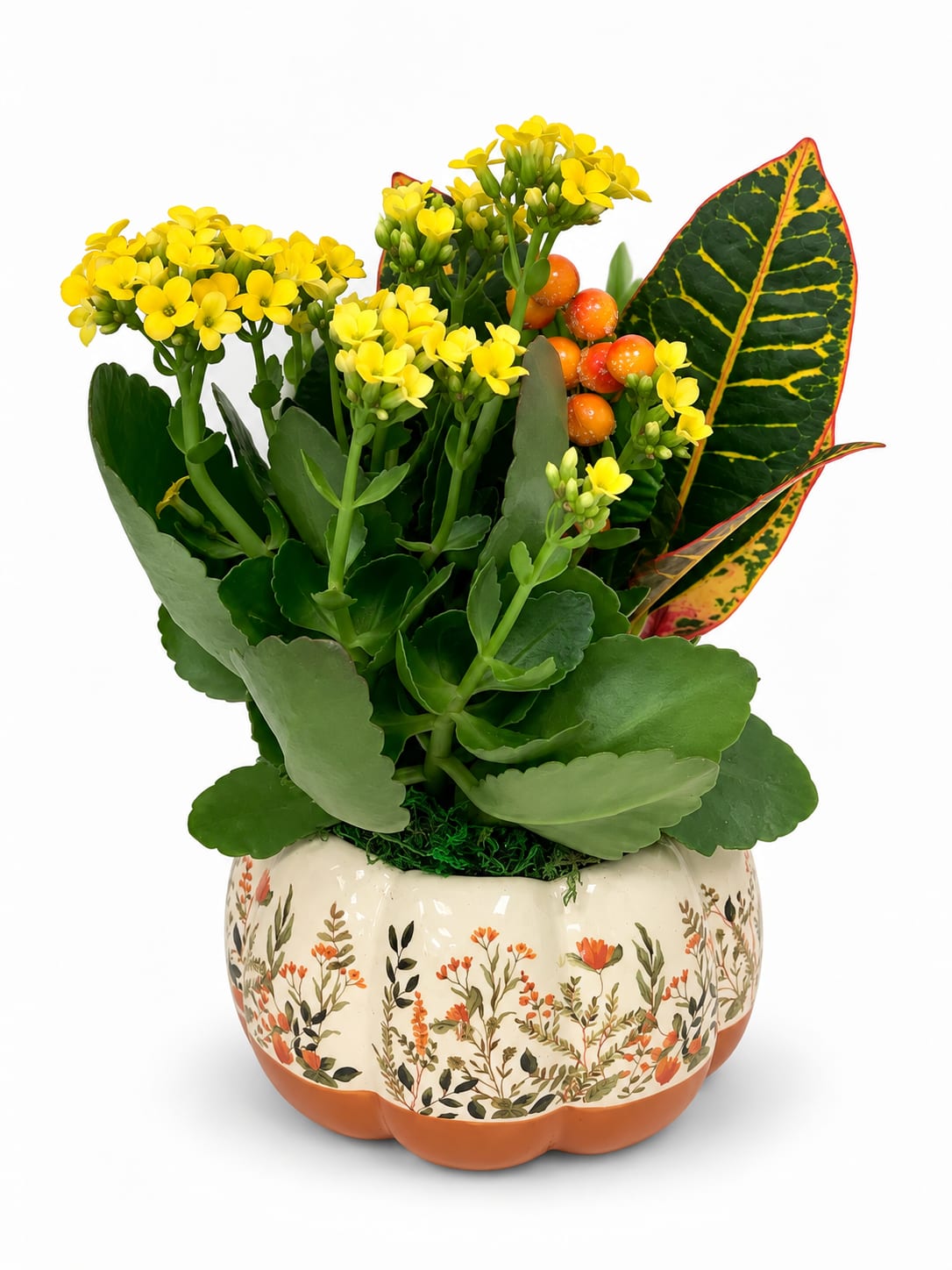 Nutmeg Floral Pumpkin Garden - Yellow Kalanchoe. An arrangement by Lori's Hearts and Flowers.