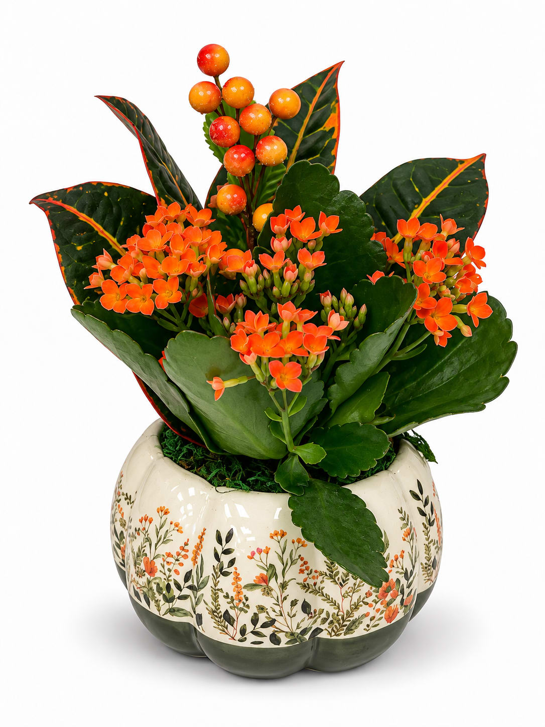 Nutmeg Floral Pumpkin Garden - Orange Kalanchoe. An arrangement by Lori's Hearts and Flowers.