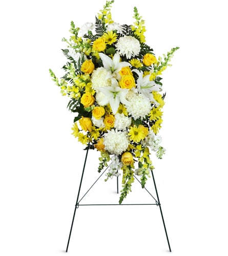 Golden Slumber for Sympathy™. An arrangement by YSD Events and Flowers. Impressive commercial mums, yellow snapdragons, white lilies, and sweet...