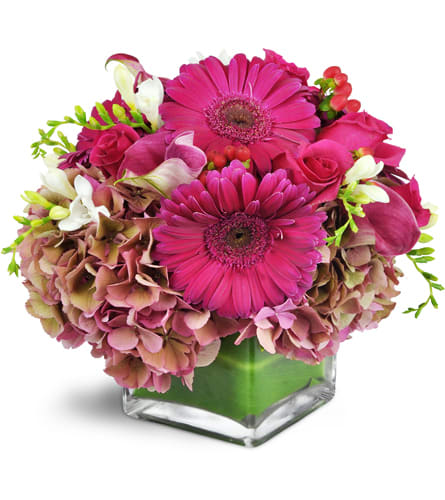 Magic in Magenta™. An arrangement by Cincyfloralnista. Gerbera daisies, roses, calla lilies, and more are arranged in a glass vase..