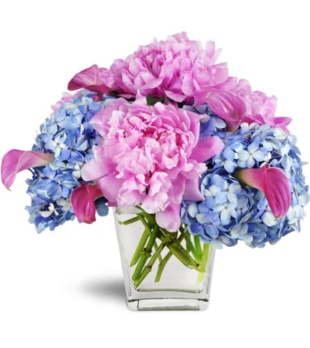 Love's Blessing Peony Vase™. An arrangement by New Rochelle Florist. Blue hydrangea, pink peonies, and pink mini calla lilies are arranged with...