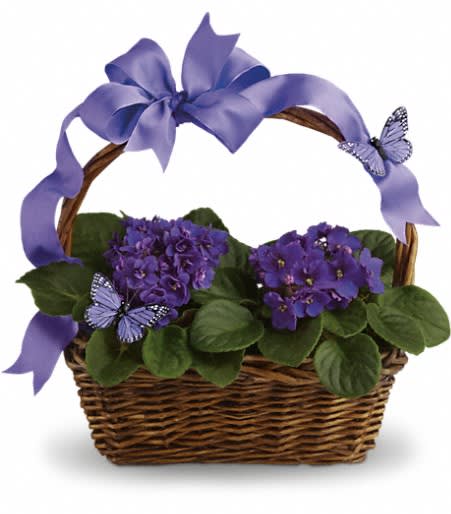 Violets And Butterflies. An arrangement by Flower Trends Florists.