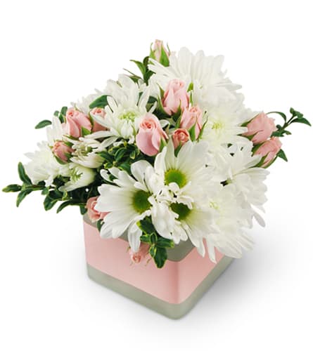 Precious Pinks. An arrangement by Lily Pad Florist. Surprise them with pink spray roses, white chrysanthemums, and oregonia topped off with a...
