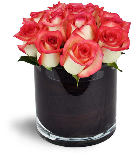 Modern Love Story™. An arrangement by Foxchase Florist. A dozen cream and pink roses are stylishly arranged in a cylindrical vase..