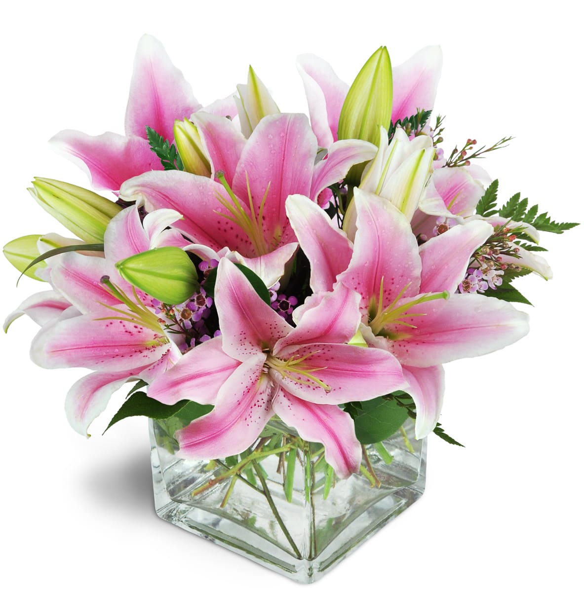 Pink Delight™. An arrangement by Fellows Fernlea Flowers. Featuring stunning pink Stargazer lilies arranged with pink waxflower..