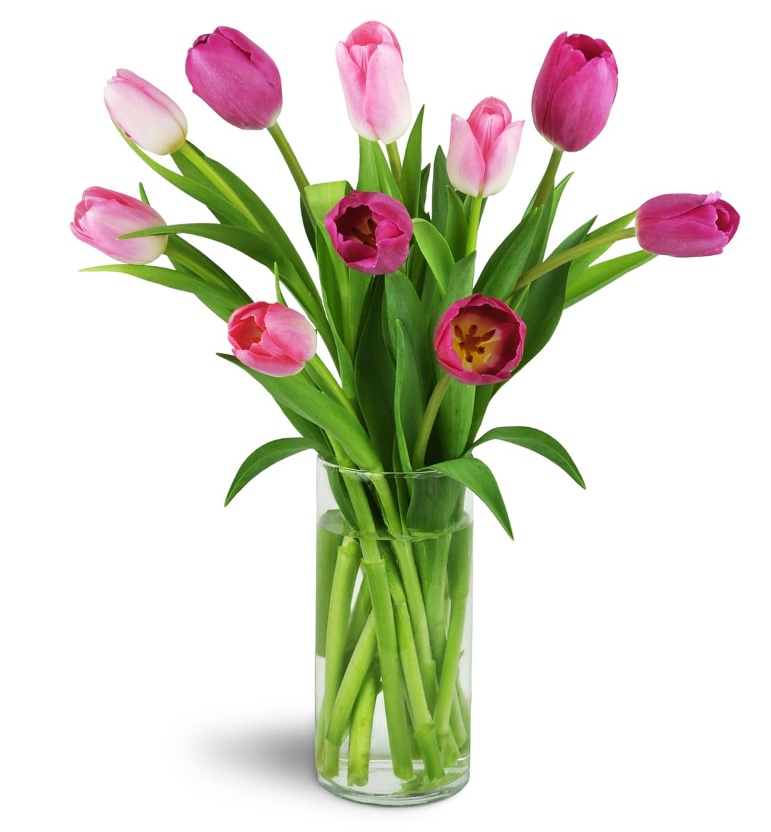 Perfect Pink Tulips™