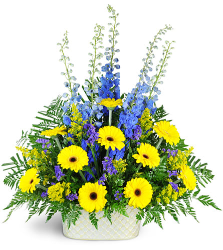 Joyful Memories. An arrangement by Hills Valley Floral. This uplifting mix of delphinium, yellow Gerbera, solidago, statice, and more can be sent... Joyful Memories. An arrangement by Hills Valley Floral. This uplifting mix of delphinium, yellow Gerbera, solidago, statice, and more can be sent...