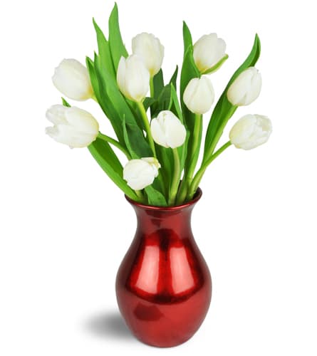Romance Tulips™. An arrangement by Anderson Flowers. Featuring ten pure white tulips arranged in a metallic red vase..