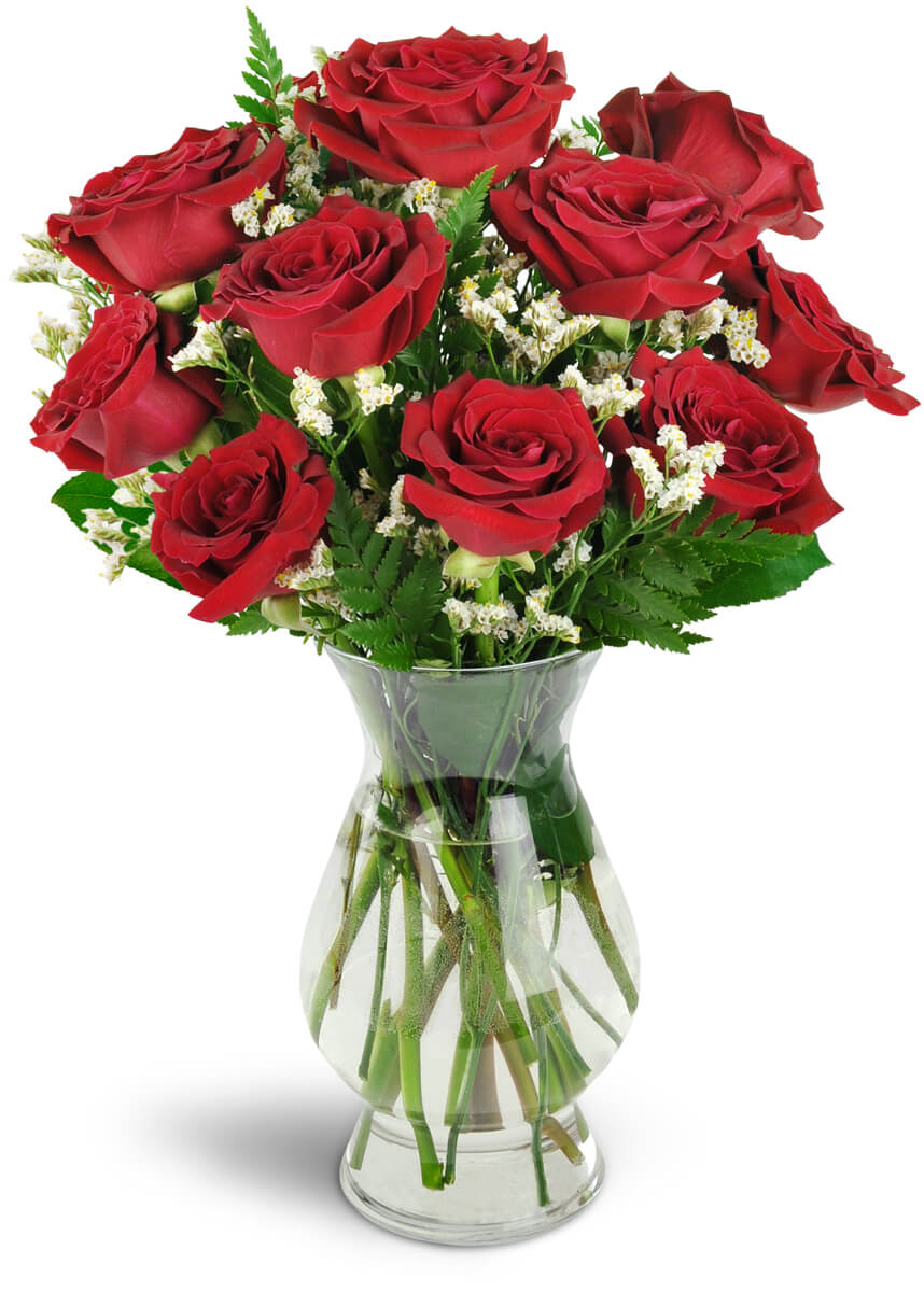 Devoted to You™ Red Roses