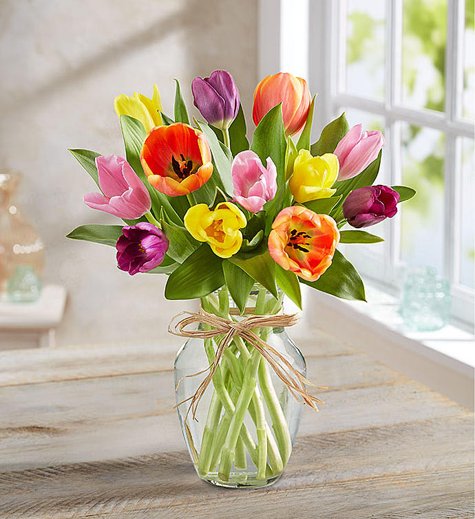 Timeless Tulips® Timeless Tulips®