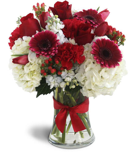 Visions in Red. An arrangement by Weaver the Florist and Gifts. Red Gerbera daisies, red roses, red carnations, white hydrangeas, and hypericum...