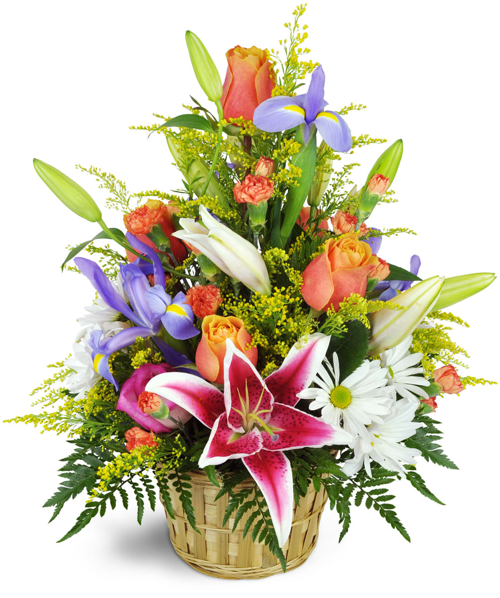 Stargazer Blessings Basket™