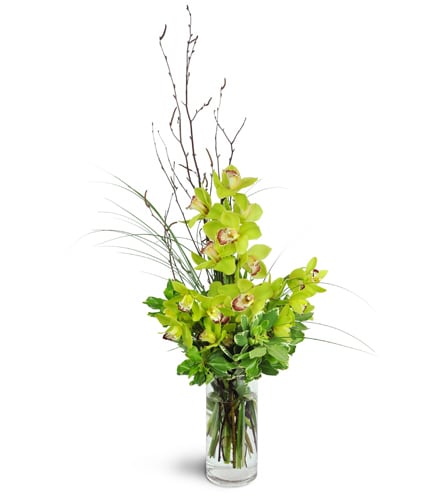 Orchid Visions Bouquet™. An arrangement by Floral Images. Green Cymbidium orchids and delicate birch twigs are arranged in a tall glass container..
