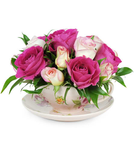 Teacup of Roses Teacup of Roses
