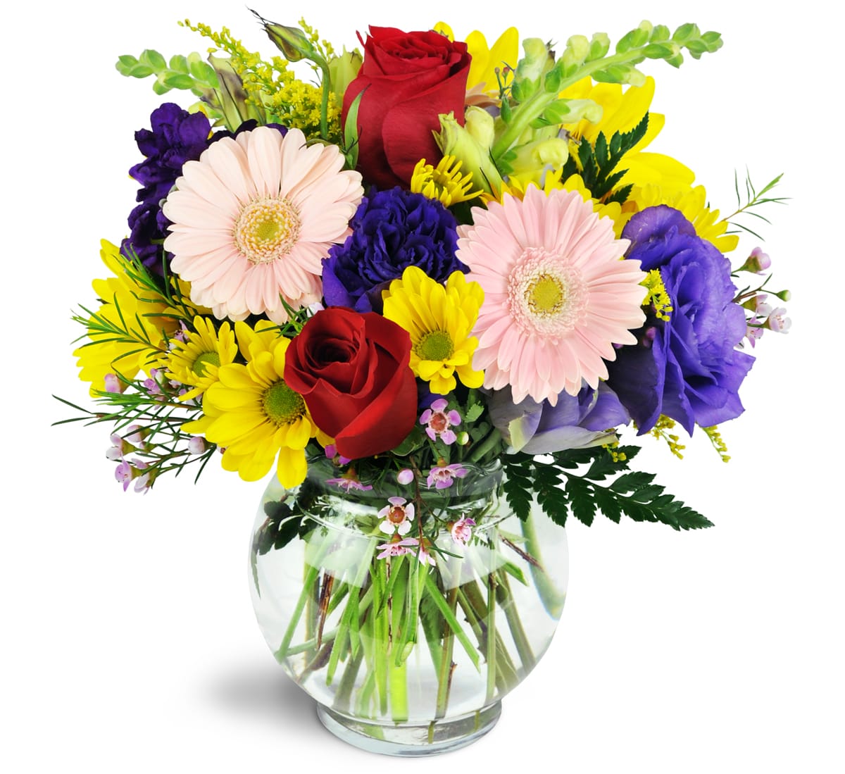A Touch of Bliss™. An arrangement by Pat's Floral Arrangements and Deliveries. Bursting with fresh daisies, Gerbera daisies, alstroemeria, and...