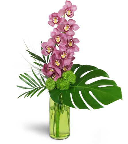 Blushing Grace Orchids™. An arrangement by Sweet Blossoms. One full stem of pink Cymbidium orchids is arranged with delicate dianthus and tropical...