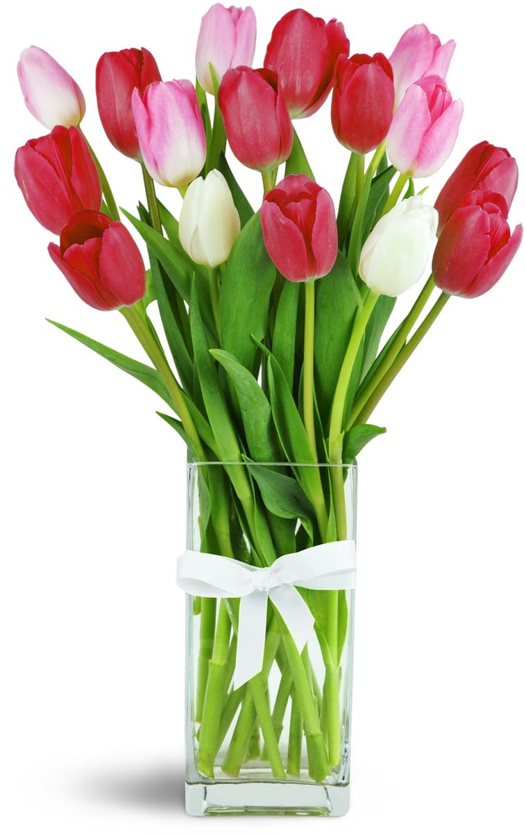 So Sweet™. An arrangement by Flowers n Things. Red, pink, and white tulips are cheerfully arranged in a glass vase..