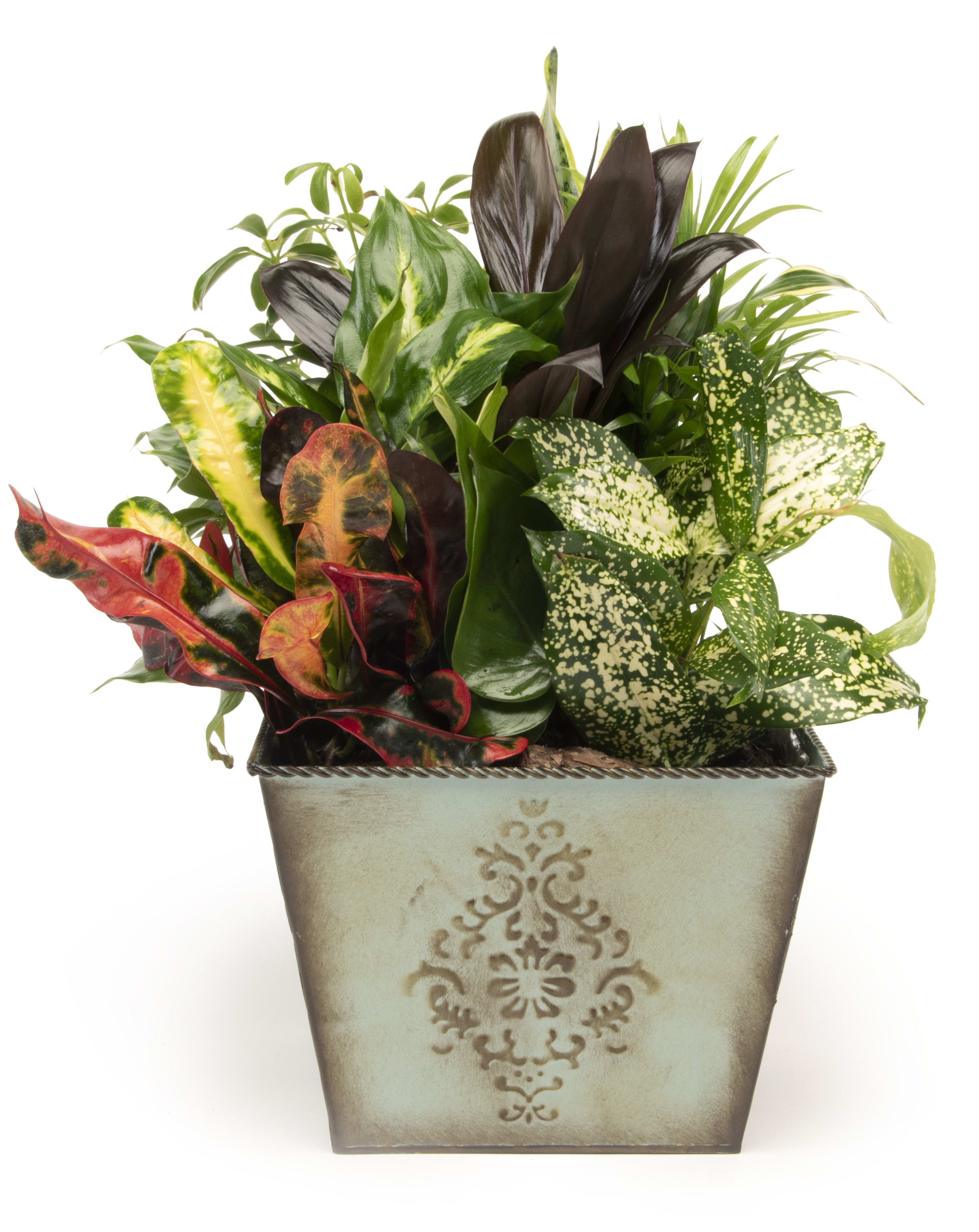 Silk Vision Flowers Cerritos California Best Flower Site