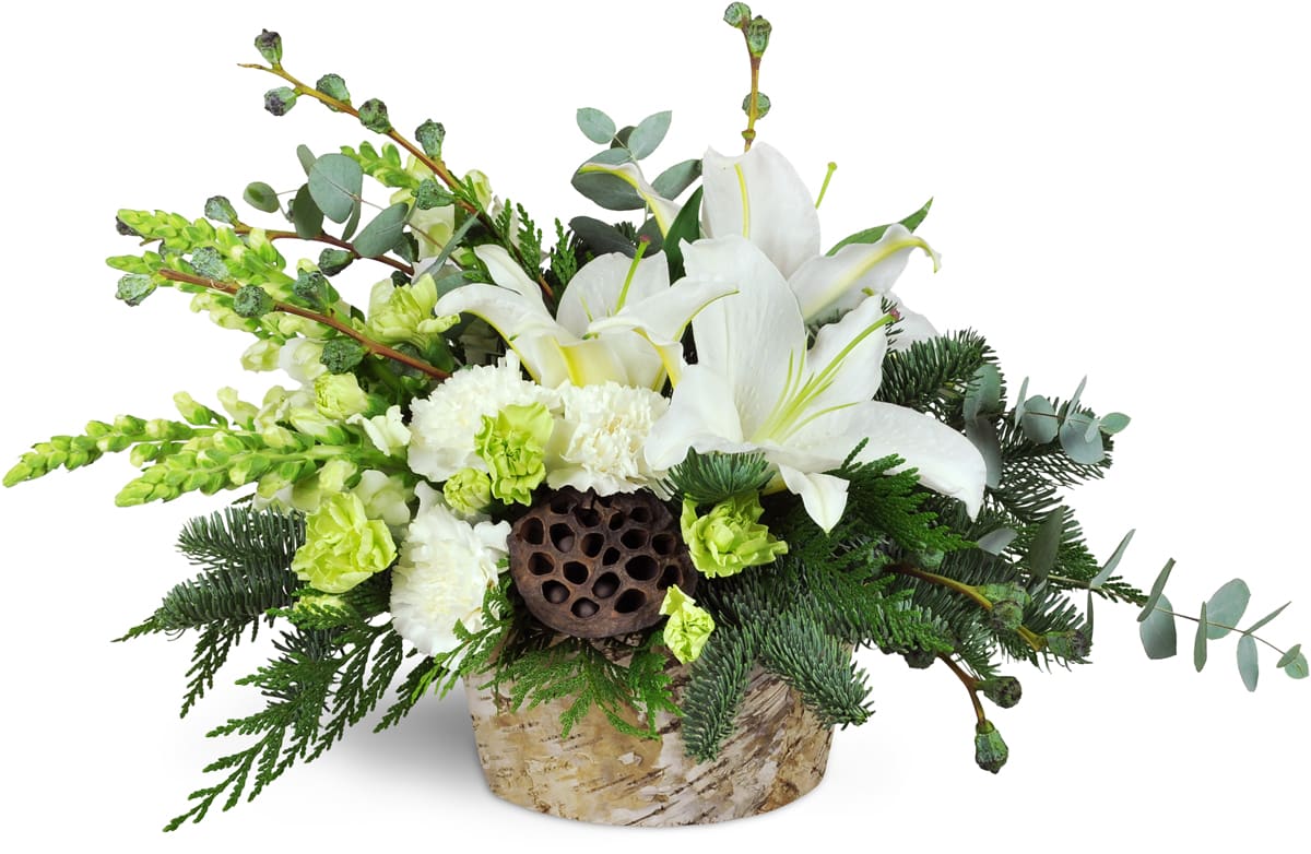 Modern Holiday Display™. An arrangement by Just Roses Flowers and More. White lilies, white carnations, green mini carnations, snapdragons, lotus...