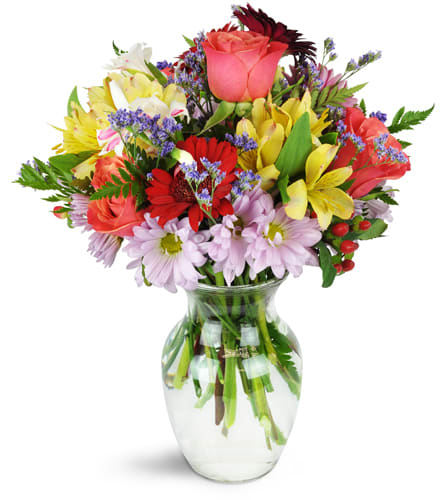 Brilliant Surprise™. An arrangement by Gardenfairy Florist. A variety of multicolored roses, gerbera daisies, alstroemeria, and more are...