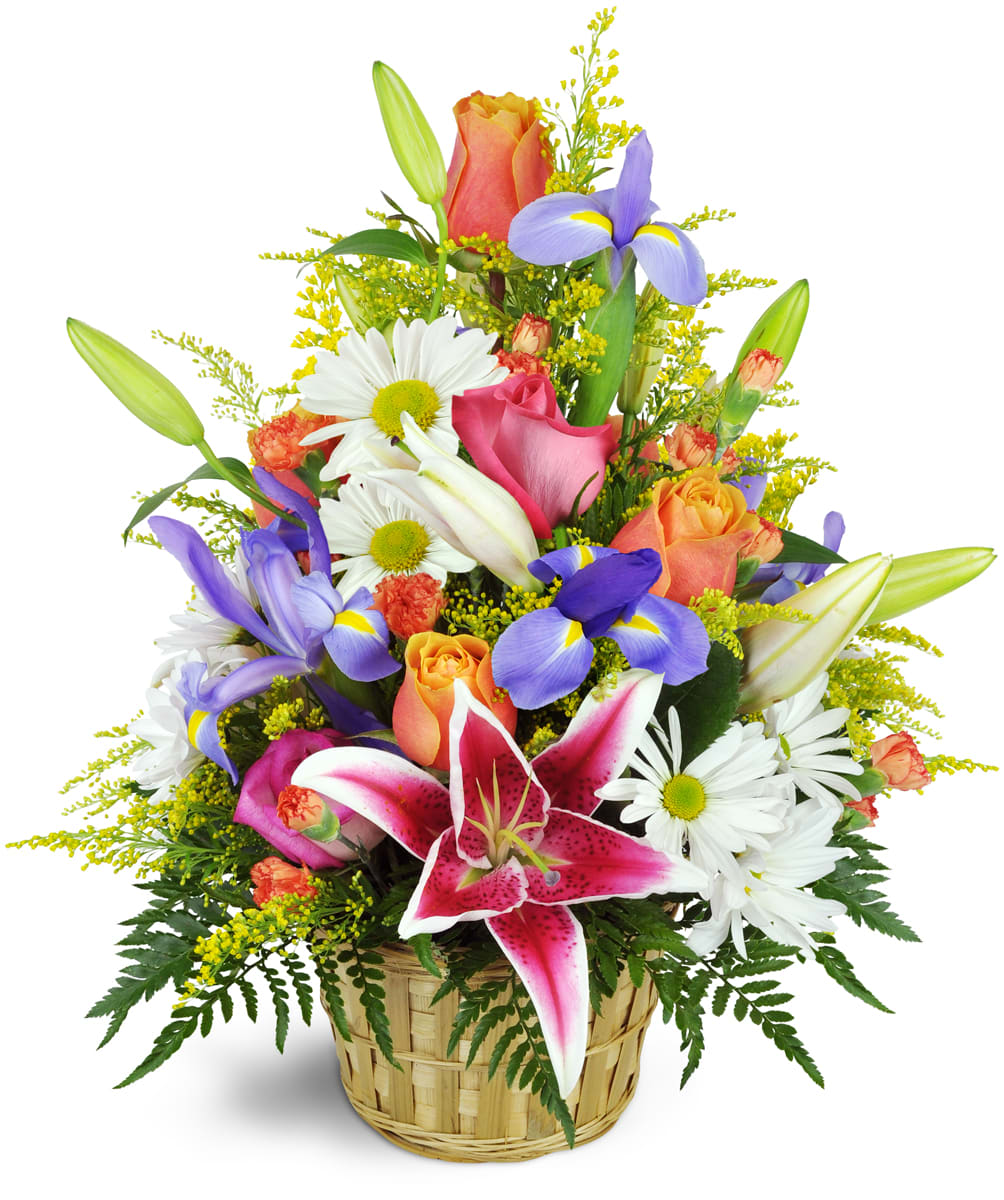 Stargazer Blessings Basket™. An arrangement by Evergreen and Lily Floral Studio and Gifts. Stargazer lilies, irises, and more are expertly...