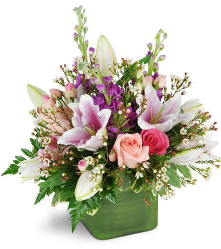 May Flowers May Flowers
