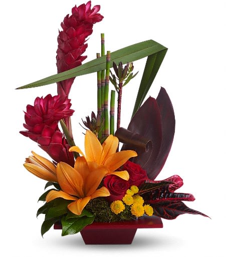 Teleflora's Tropical Bliss Teleflora's Tropical Bliss