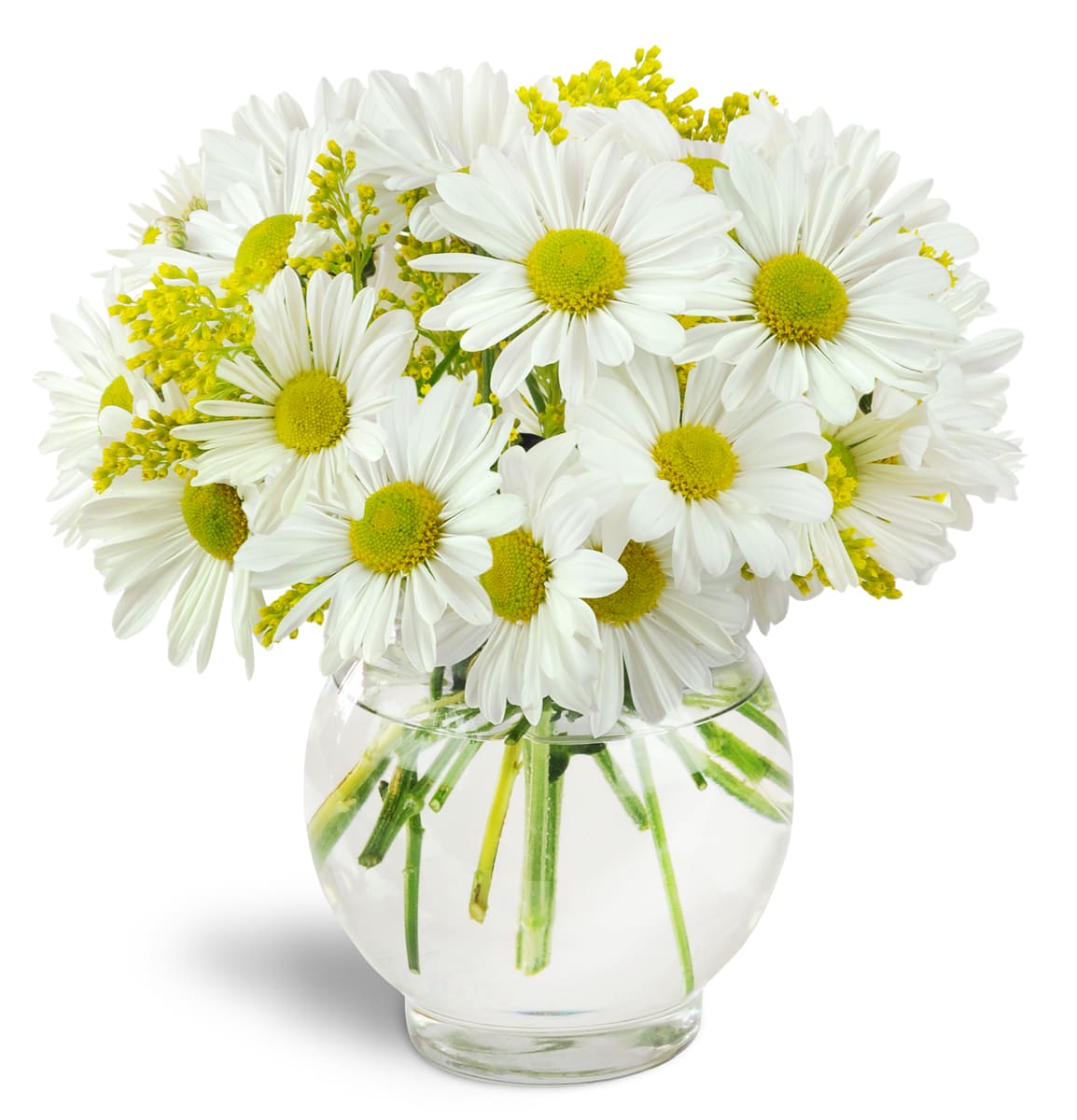 Perfectly Pleasing™. An arrangement by Jane's Floral Dreams. White daisies and golden solidago flowers are beautifully arranged in a glass vase..