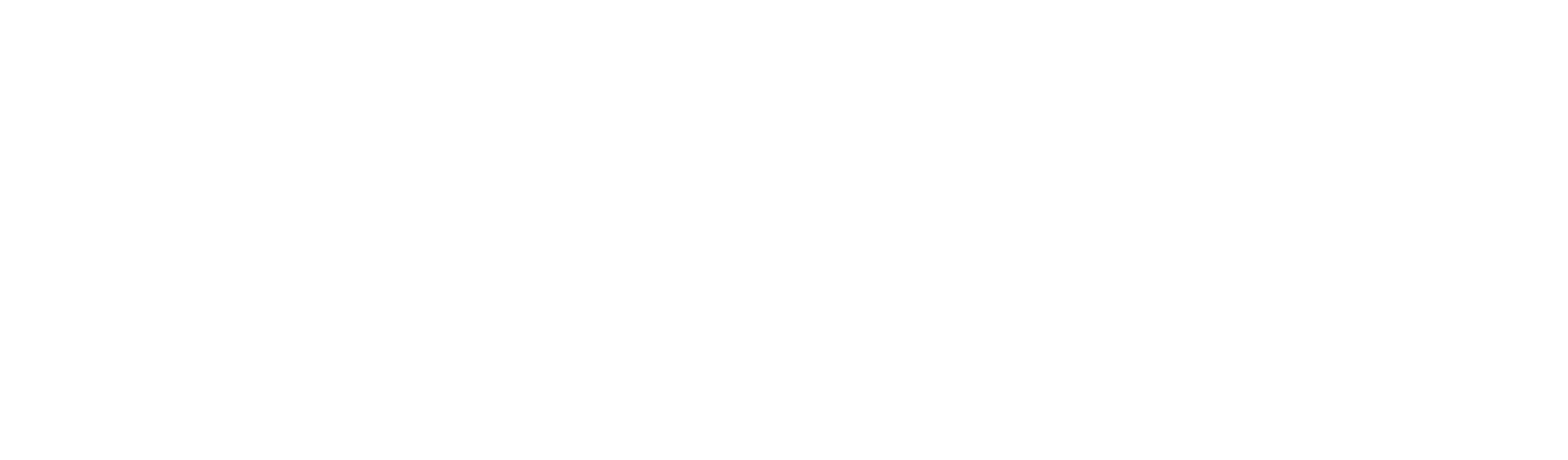 Orchid Plants Nj Bergen Florist Ridgewood Nj Florist