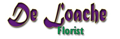 florist shops in columbia sc