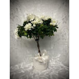 Send White Braided Azalea Tree in Edmonton, Westmount, AB - Awesome Blossom