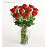 Send Rose Elegance™ 12 Long Stem Red Roses in Cypress, Houston, TX ...