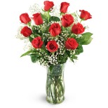 12 Classic Red Roses - Send to Pittsburgh, PA Today!