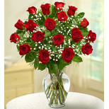 Red Roses Inhouston Send Rose Elegance - 18 Red Roses in Cypress, Houston, TX - Sicola's ...