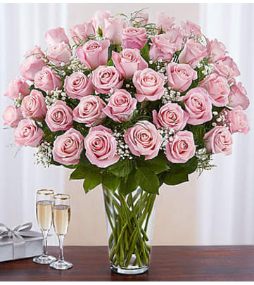 Fresh Birthday Flowers for Her in Charlotte, NC - Send Now