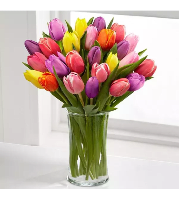 Miami Fl Florist Free Flower Delivery In Miami Fl Anthurium Gardens Florist