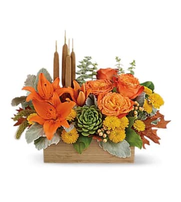 Fresh Orange Flower Delivery in Victoria-Fraserview, E Vancouver,BC - Send  Today!