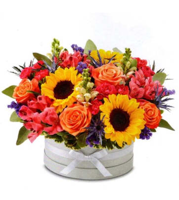 Sunshine Daisy Rose Bouquet™ - Send to Moline, IL Today!