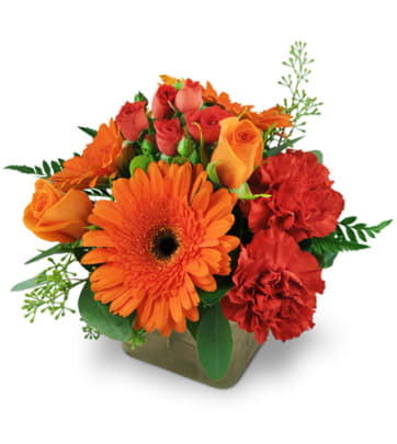 Fresh Orange Flower Delivery in Ottawa, Chinatown,ON - Send Today!