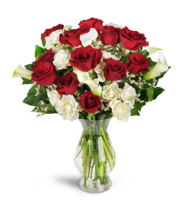 500 Premium long stem red roses – Florals by Bushra